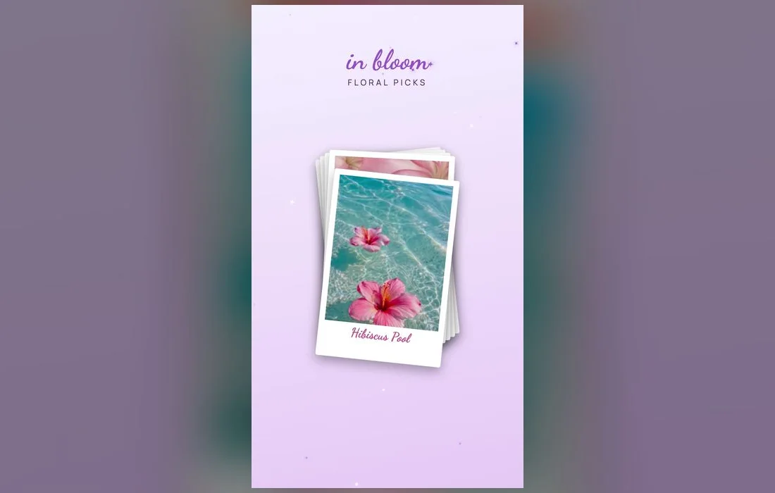 From soft pastels to bold hot pink